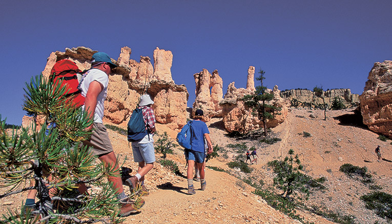 Mbgq-bryce-zion_canyon-multisport-6